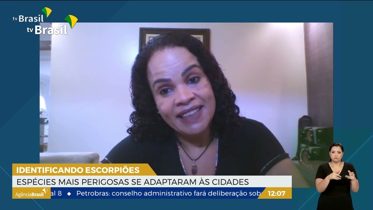 SP| Instituto Butantan faz guia para reconhecer escorpiões mais perigosos