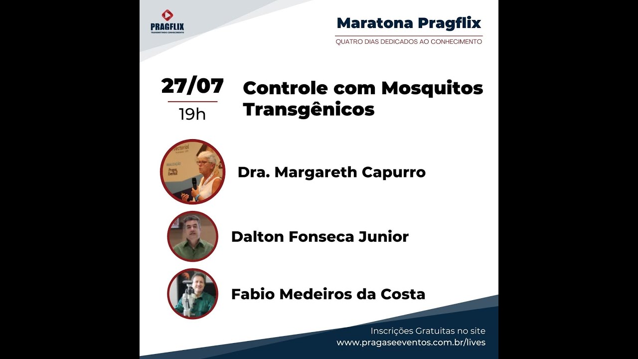 Maratona Pragflix - Controle com Mosquitos Transgênicos