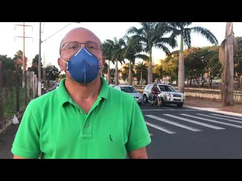 Picada de escorpião em ônibus: Papa cobra aplicação de sua Lei que obriga limpeza da frota