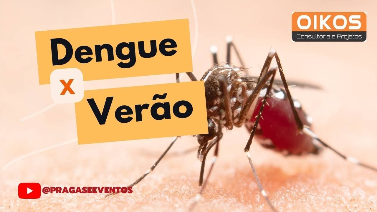 Dengue x verão - Fabio Medeiros da Costa