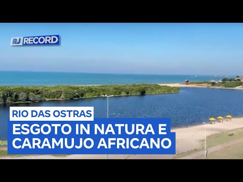 Esgoto in natura e caramujo do ciclo do verme da esquistossomose impedem banho na Lagoa do Iriry