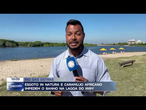 Esgoto in natura e caramujo do ciclo do verme da esquistossomose impedem banho na Lagoa do Iriry