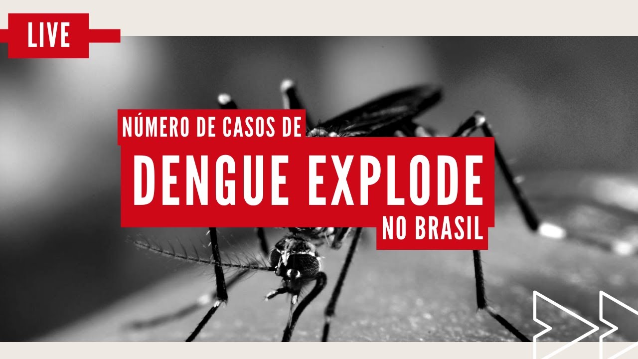 A Explosão da Dengue no Brasil - Estamos à beira de uma epidemia?