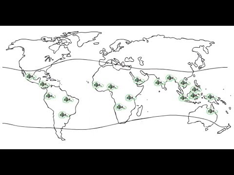 World Mosquito Program  - conheça o nosso método