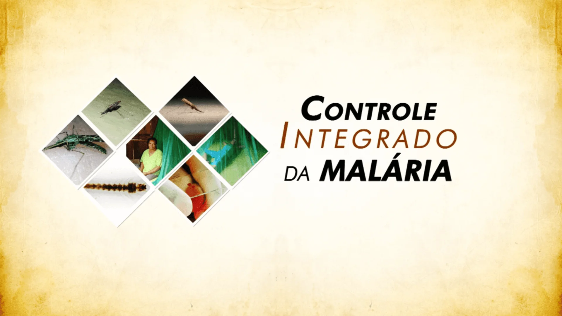 Controle Integrado Malaria