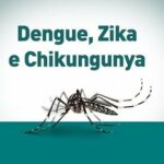 dengue zika e chikungunya 500x333 1 - Pragas e Eventos