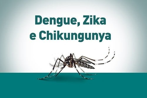 dengue zika e chikungunya 500x333 1 - Pragas e Eventos