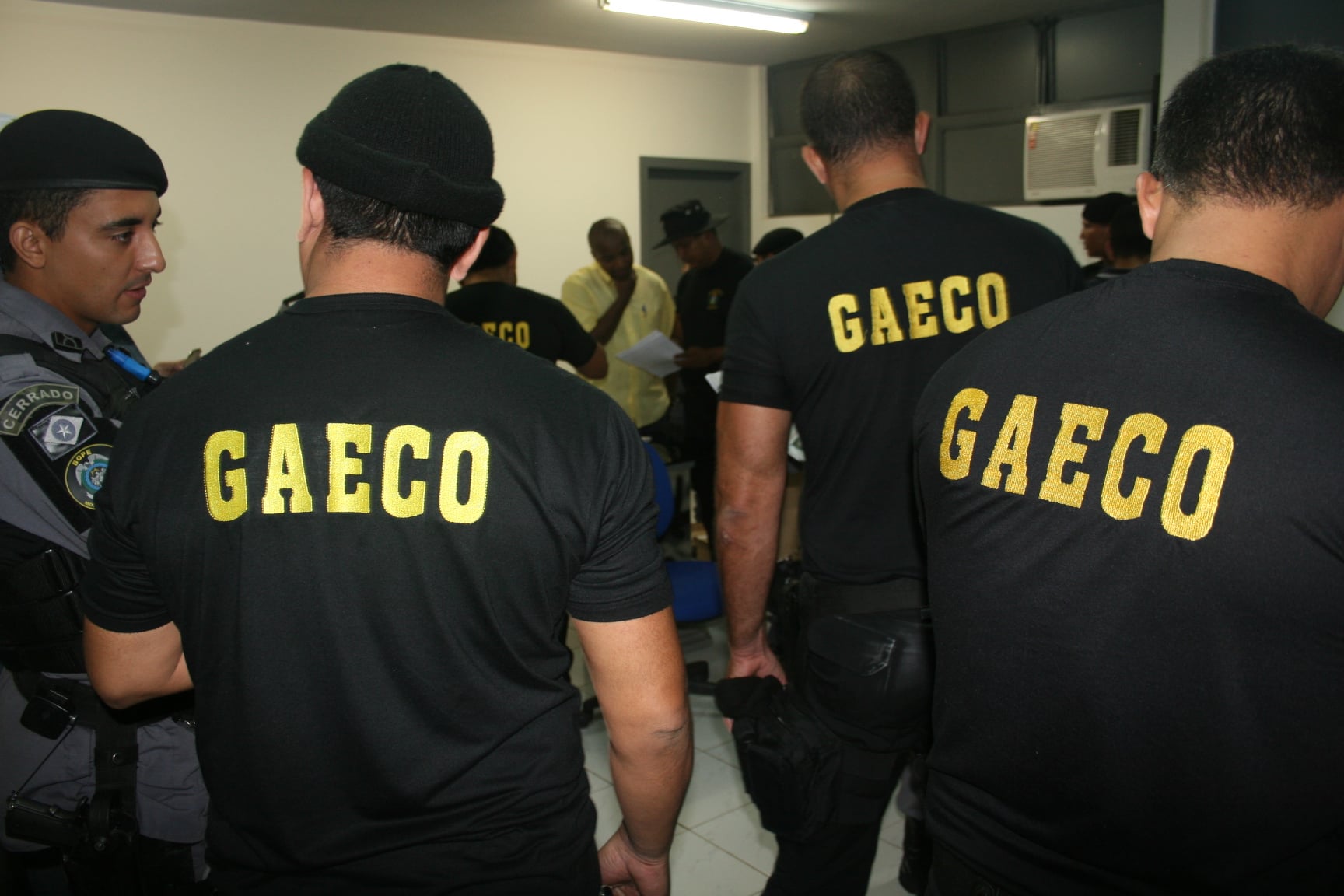 gaeco ratazanas - Pragas e Eventos