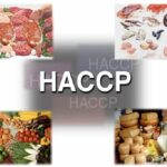 haccp 1 728 - Pragas e Eventos