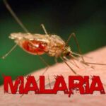 malaria - Pragas e Eventos