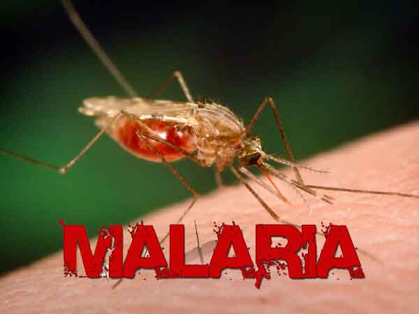 malaria - Pragas e Eventos
