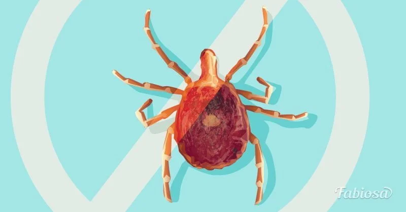 med rsmkib auokh lyme disease can cause serious complications learn about its symptoms and how to prevent it 1b74867e6be6fc37ee4379d019128eb4 - Pragas e Eventos