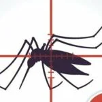 zika dengue mosquito TopicTwoCol - Pragas e Eventos