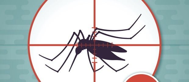zika dengue mosquito TopicTwoCol - Pragas e Eventos