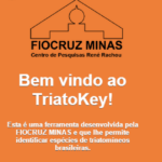 TRIATOKEY2 - Pragas e Eventos