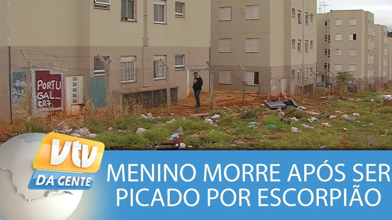 menino de 7 anos morre apos ser picado por escorpiao - Pragas e Eventos