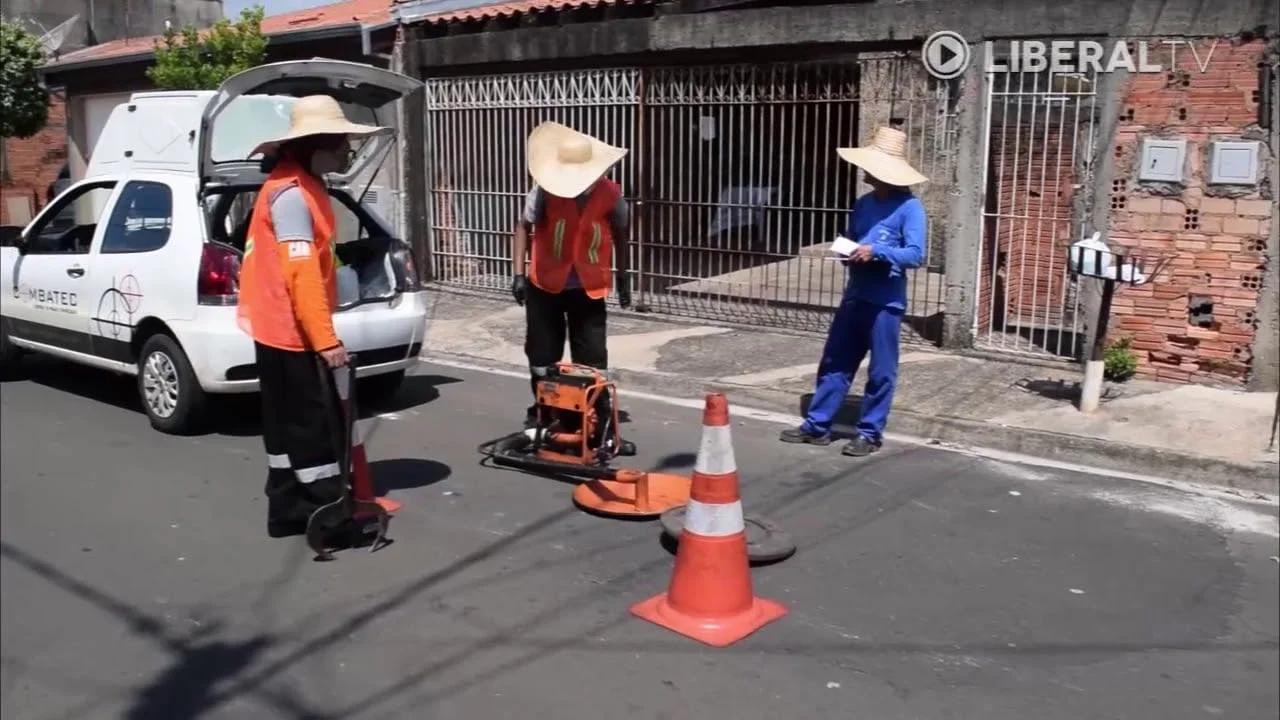 controle de escorpioes realizado em nova odessa custa r 180 por dia - Pragas e Eventos