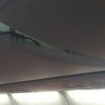 Escorpiao causa panico em voo da Lion Air. Eis as imagens - Pragas e Eventos