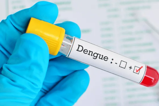 atendimento de pacientes com suspeita de dengue ja custou mais de r 300 mil 5d13d4b8051c9 - Pragas e Eventos
