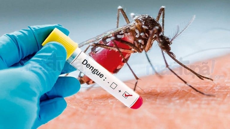 dengue1 - Pragas e Eventos