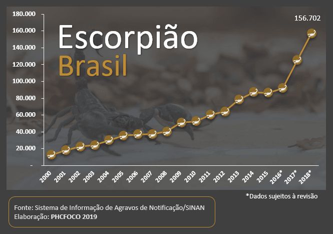especialista-do-vital-brazil-fala-sobre-o-aumento-da-incidencia-de-acidentes-com-escorpioes-no-pais