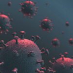 Corona Virus - Pragas e Eventos