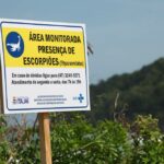 Gerência de Controle de Zoonoses segue trabalho de combate a escorpiões em Itajaí