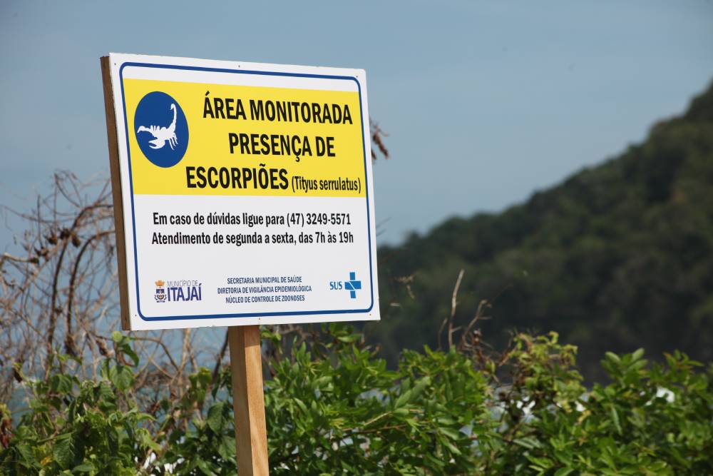 Gerência de Controle de Zoonoses segue trabalho de combate a escorpiões em Itajaí
