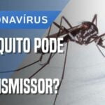 mosquitos e maruins não transmitem coronavírus