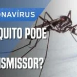 mosquitos e maruins não transmitem coronavírus