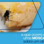 controle de moscas ultraligth - Pragas e Eventos
