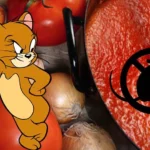 molho tomate caseiro - Pragas e Eventos