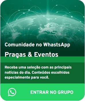 Entrar no WhatsApp Pragas e Eventos