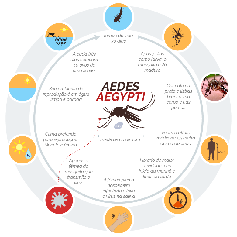 aedes - Pragas e Eventos