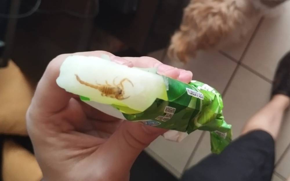 Escorpião é encontrado dentro de sorvete em Ribeirão Preto, SP — Foto: Arquivo pessoal