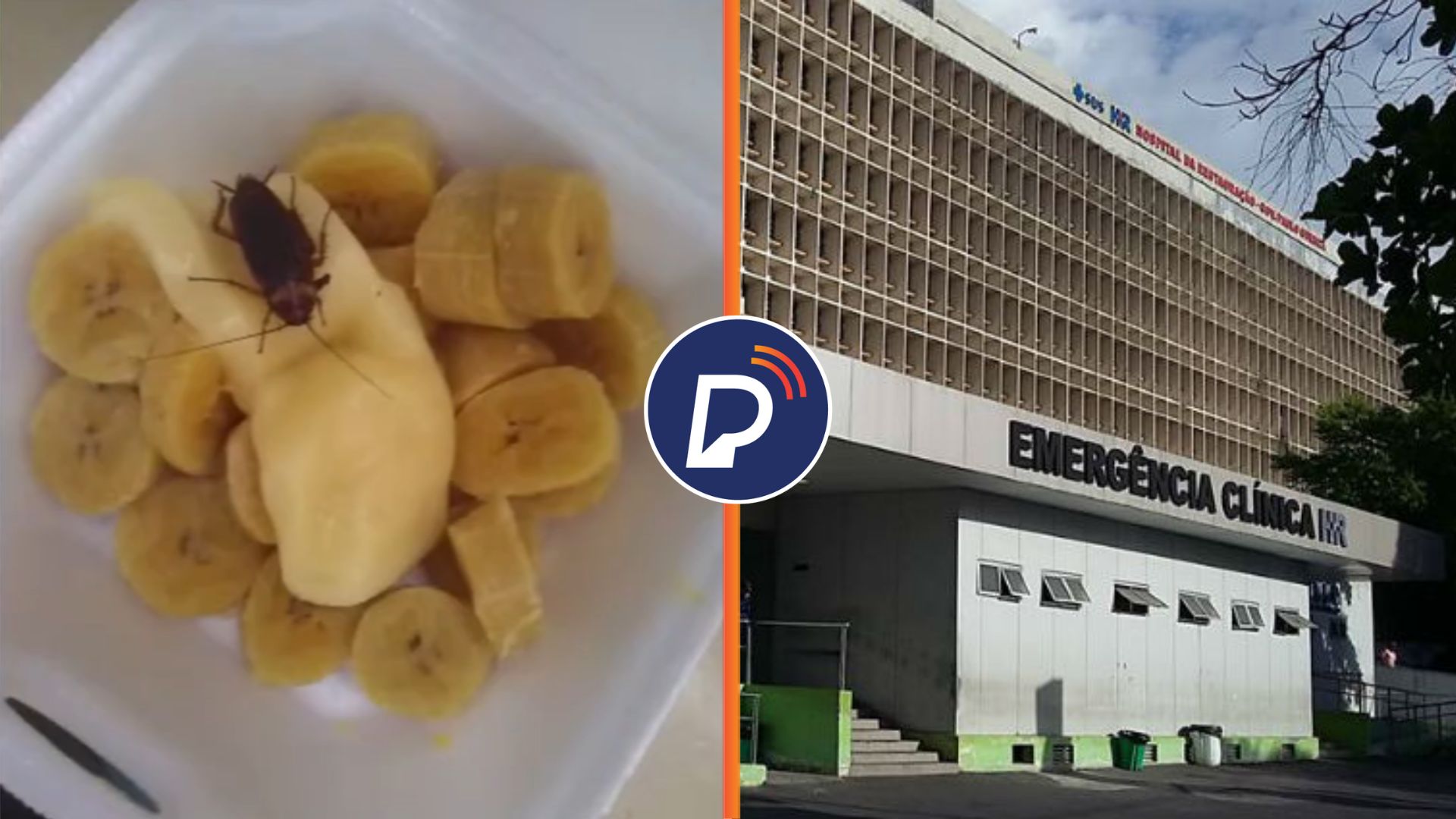 higiene hospital da restauracao recife - Pragas e Eventos