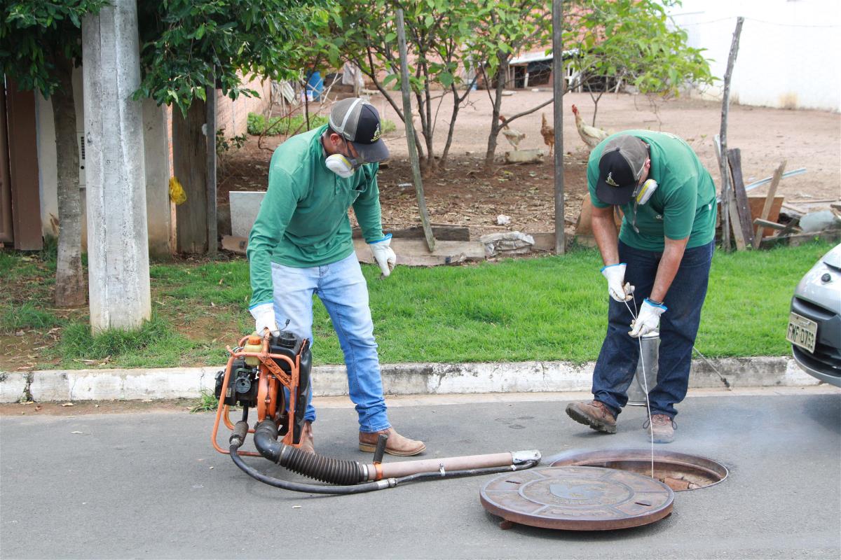 Prefeitura de Paulinia Inicia Controle de Pragas Urbanas - Pragas e Eventos