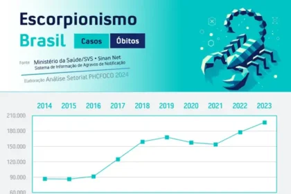 Casos com escorpião dobram nos últimos 10 anos