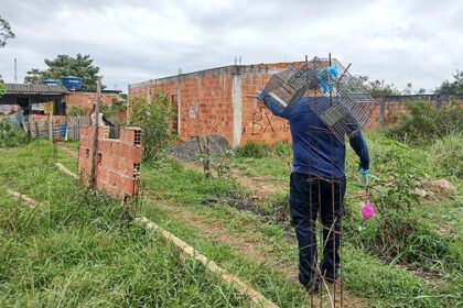 Pesquisadores instalaram armadilhas para coletar pequenos mamíferos na região onde ocorreu caso de meningite eosinofílica