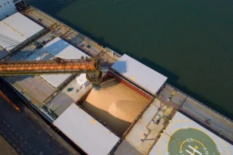 Navio com carga de graos Foto Porto de Santos - Pragas e Eventos