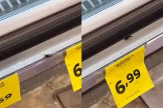 Barata é flagrada em balcão de frios (1)