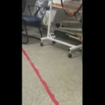 Rato circula por setor clinico do Hospital de Urgencias de Sergipe e gera revolta entre pacientes - Pragas e Eventos