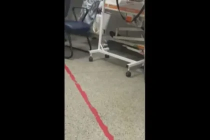 Rato circula por setor clinico do Hospital de Urgencias de Sergipe e gera revolta entre pacientes - Pragas e Eventos