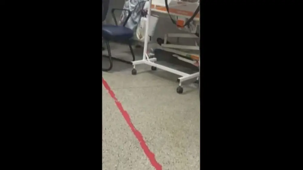 Rato circula por setor clinico do Hospital de Urgencias de Sergipe e gera revolta entre pacientes - Pragas e Eventos