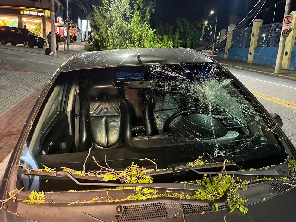 Carro danificado após ser atingido por árvore que caiu devido a infestação de cupins