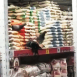 pombos supermercado - Pragas e Eventos