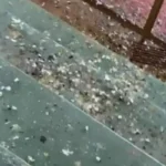 Situacao da escola em Rifaina devido a infestacao de pombos - Pragas e Eventos