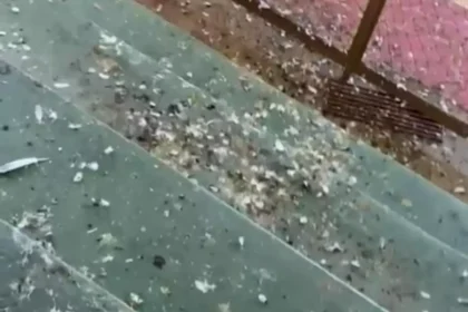 Situacao da escola em Rifaina devido a infestacao de pombos - Pragas e Eventos