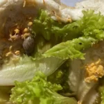 caramujo no lanche cliente - Pragas e Eventos