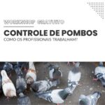 WhatsApp Image 2025 11 17 at 20.16.35 - Pragas e Eventos